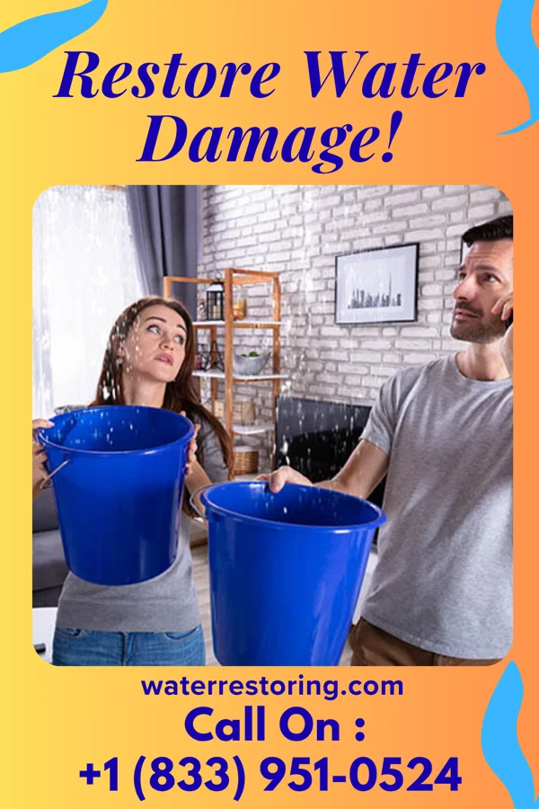 water restoration Master Water Restoration Specialists Emden